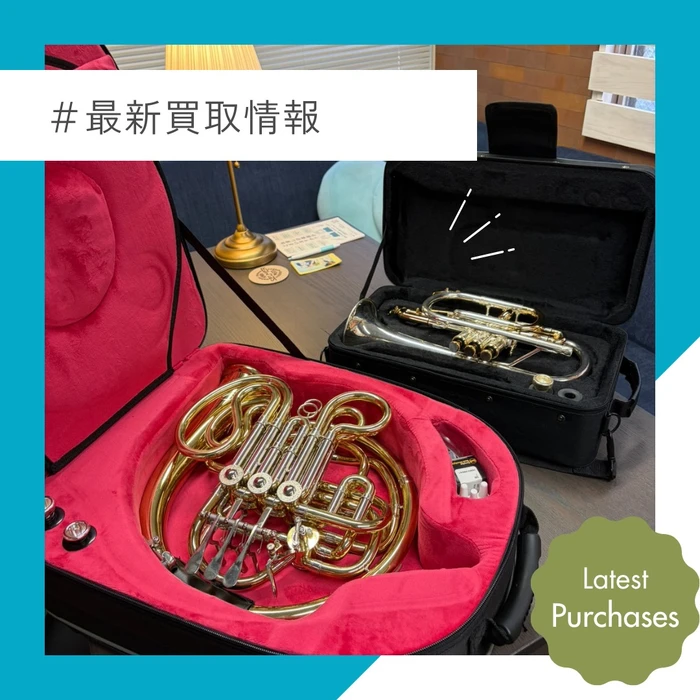 画像253