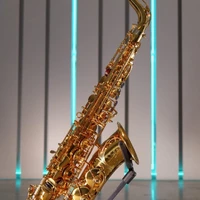 画像310